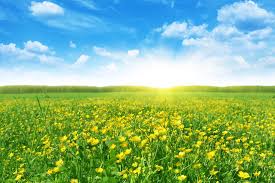 Image result for spring images