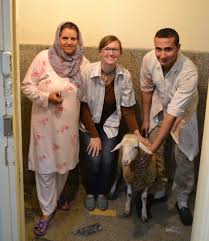 Image result for peace corps volunteers morocco