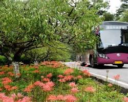 張家界環保觀光車的圖片