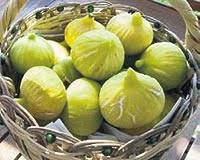 Resultado de imagem para patlican incir