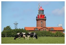 Leuchtturm Buk Bastdorf - Bild \u0026amp; Foto von Carsten Frank Müller aus ... - Leuchtturm-Buk-Bastdorf-a24884749