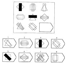 Image result for raven's matrices