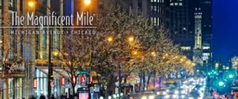 Image result for chicago at christmas