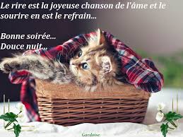 Résultat de recherche d'images pour "bonsoir chat"