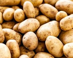 Potatoes