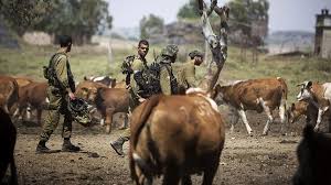 Resultado de imagen de militares israelís en Siria
