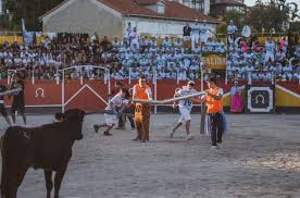 El Correo - News update