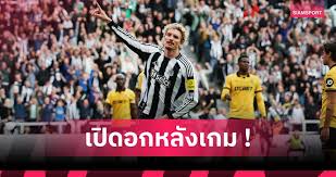 Siamsport - News update