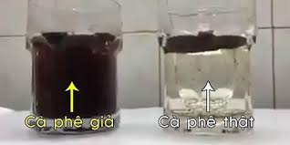 Image result for phân biệt cà phe độn