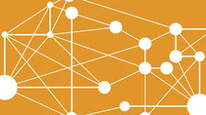 Image result for mayo now logo