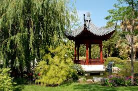 Rsultat de recherche d'images pour "le jardin chinois du parc borely marseille"