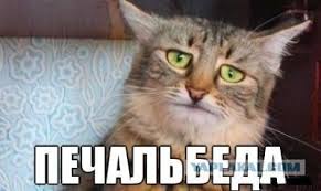 21 июня Порошенко посетит Францию - Цензор.НЕТ 9837