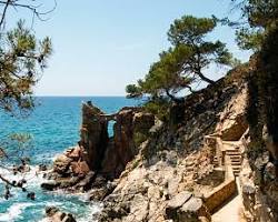 Calella de Palafrugell wild cove turquoise water rocky cliffs pine trees, généré par IA