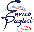 Afbeeldingsresultaat voor enrico puglisi