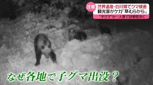 日テレNEWS NNN - News update