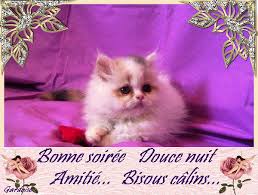 Résultat de recherche d'images pour "image bonne soirée et bonne nuit"