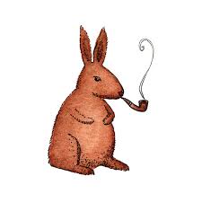 Image result for RABBIT