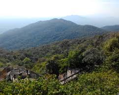 Image of Cardamom Mountains, Cambodia