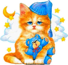 Résultat de recherche d'images pour "gif chat"