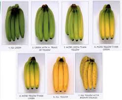 Image result for banana sensor