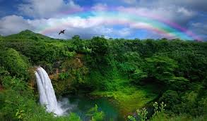 Image result for beautiful views