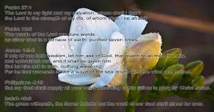 MyLifegroup Ministries » Bible Verse Challenge King James Version via Relatably.com