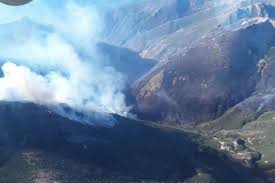 El Mundo - News update