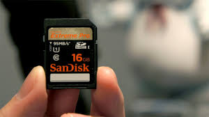 Image result for SD card