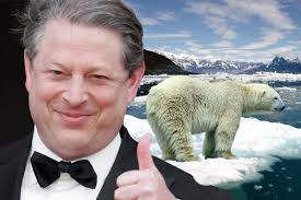 Image result for al gore global warming