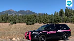 Active Shooter Report in Flagstaff