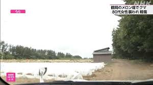 NHK - News update