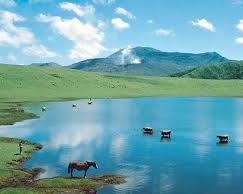 阿蘇山 草千里ヶ浜の画像