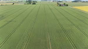 Ny landboforening rykker ind på Bornholm