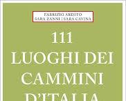 Image of Book 111 places on the Italian routes that you really have to discover