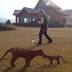 Tasmanian bushfires: Crews prepare for worsening conditions as ...
