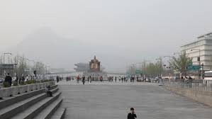 Image result for IRAN HORSES