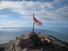 Hasil gambar untuk pecinta alam indonesia