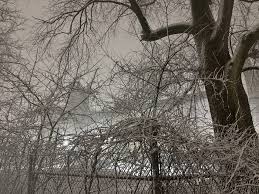 Rhode Island Blizzard of 2026: State of Emergency and Record Snowfall