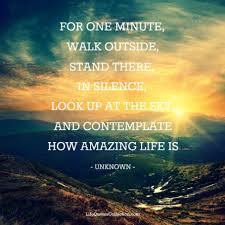 Quote for the day Tuesday 29 April 2014 … | Bear Tales via Relatably.com