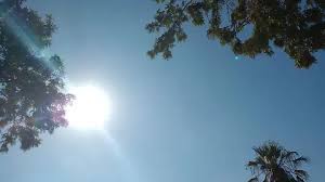 El Sol de México - News update