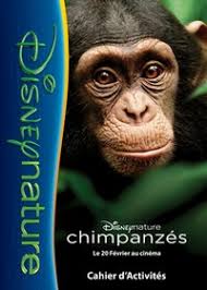 Un très beau film de DISNEY, "Chimpanzés" Images?q=tbn:ANd9GcS0xhj-7OtE6lm3IKdqTj2Md8batXO0eUAHaSUSC5koZ--LYq0F