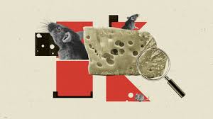 Hygiene Issues Uncovered at Kaufland Supermarkets Across Germany