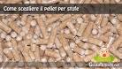 Pellet per stufe