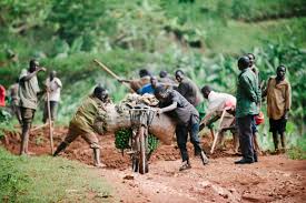 Image result for burundi