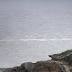 Day five of sea search fails to find men