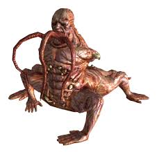 Résultat de recherche d'images pour "centaur"