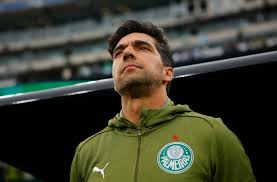Organizada do Palmeiras pede união da torcida e protesta contra o "sistema"