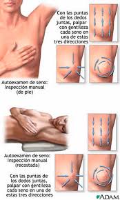 Resultado de imagen de autoexploracion mama