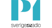 Internet radio Sverige, lyssna p webbradio FM, radiokanaler