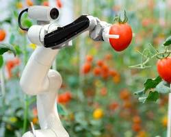 Image of Fruitpicking robot